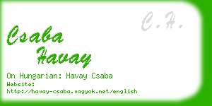 csaba havay business card